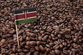 Kenya AA Washed