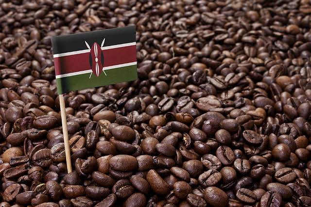 Kenya AA Washed